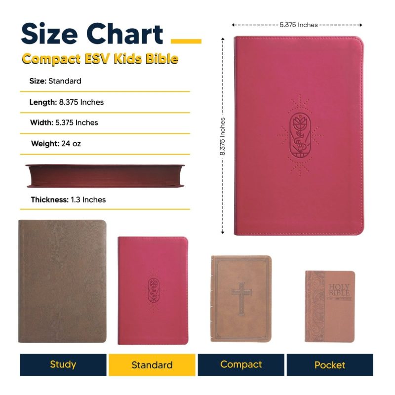 FLE STD ESV SML PNK 012 SizeChart 359609