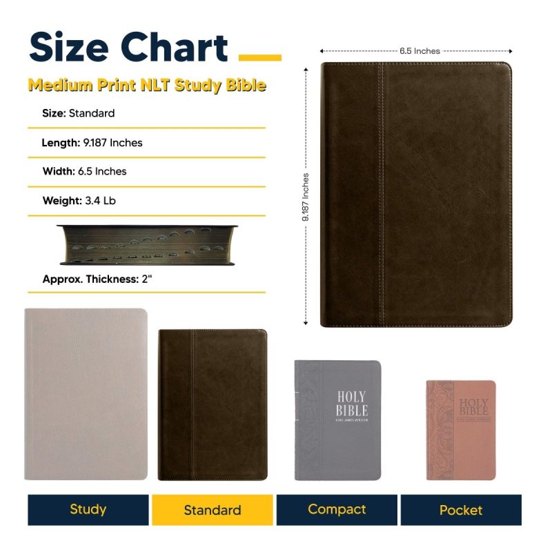 FLE STD MED NLT BRN 061 SizeChart 1b669c85 d158 4a1c 8b78 4fa42f0d5609 877193